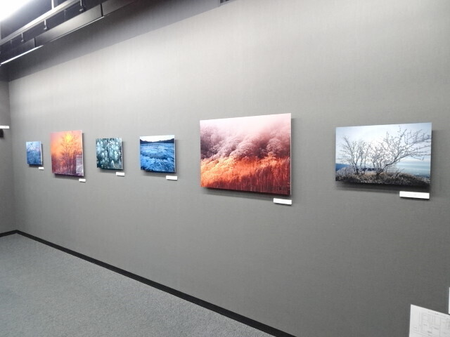 写真展