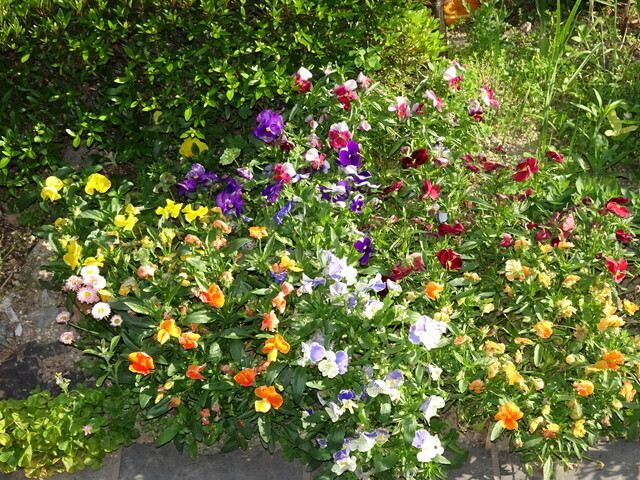 花