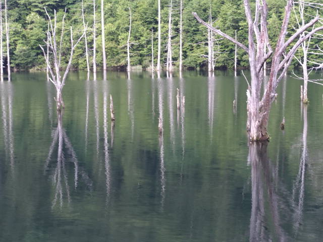自然湖の橋の上で撮影