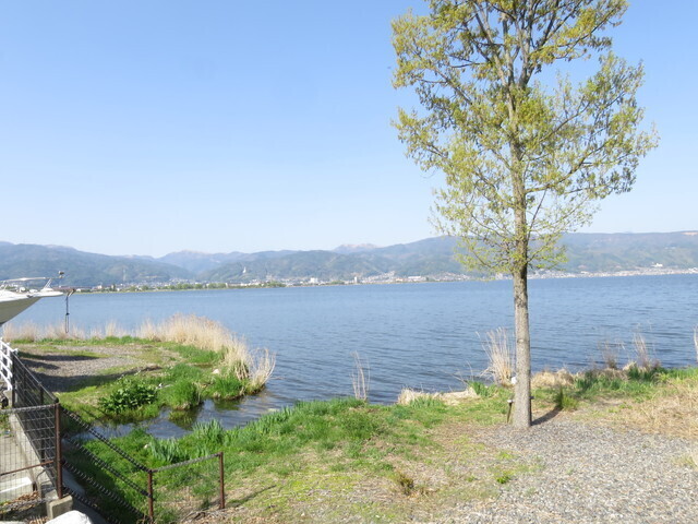 快晴の諏訪湖