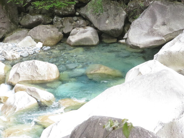 春の阿寺渓谷