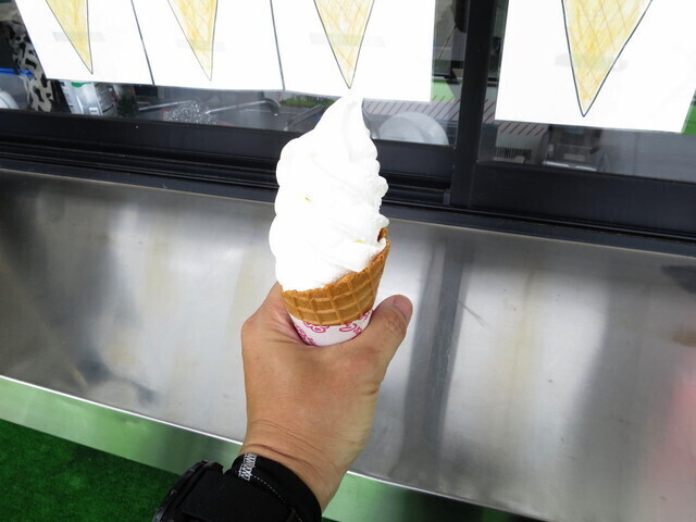 霧の駅のソフトクリーム