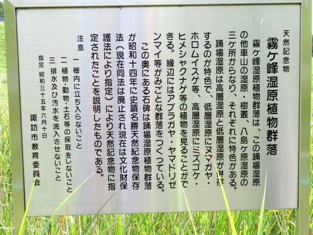 コース脇にある看板