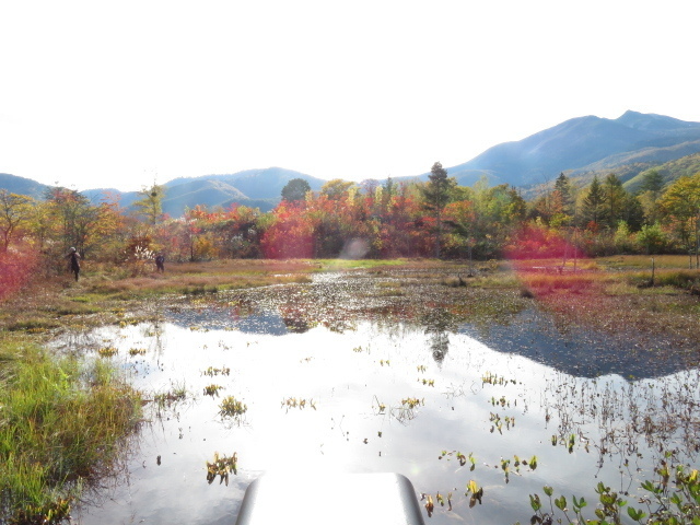 紅葉のどじょう池