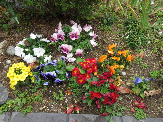 花
